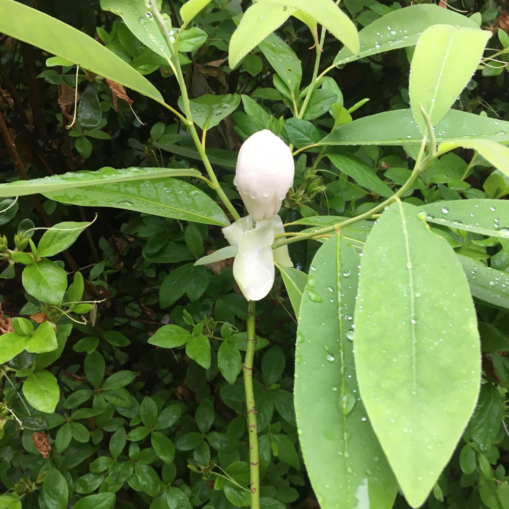 Meet your Posher, Doug